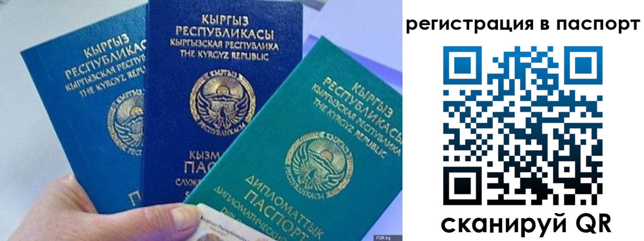 прописка 2025 в Ипатово